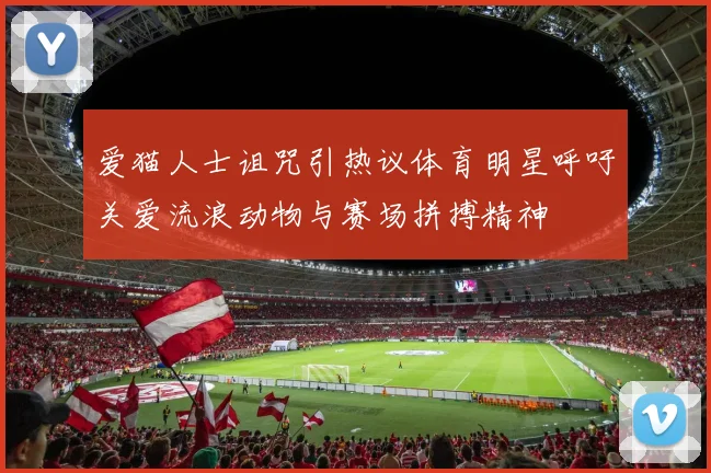 爱猫人士诅咒引热议体育明星呼吁关爱流浪动物与赛场拼搏精神